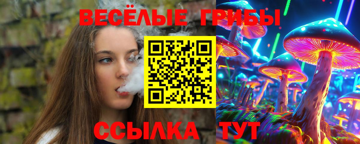 Омск  Галлюциногенные грибы GOLDEN TEACHER  Вход с VPN 